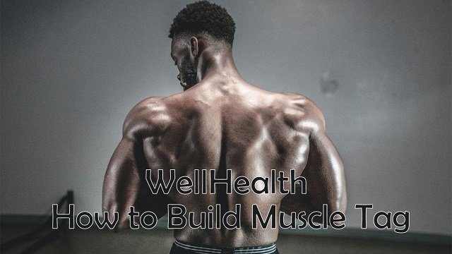 WELLHEALTH HOW TO BUILD MUSCLE TAG